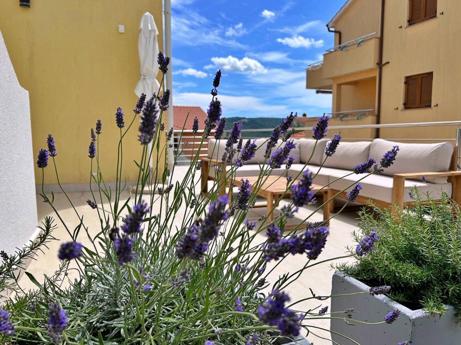 Apartments Pinta De Sol Čižići Eksteriør bilde